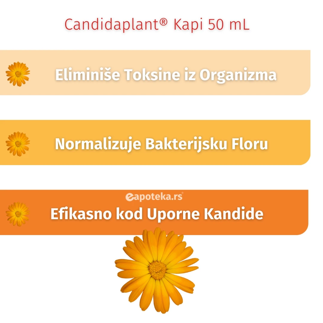 Candidaplant® Kapi za Kandidu 50 mL