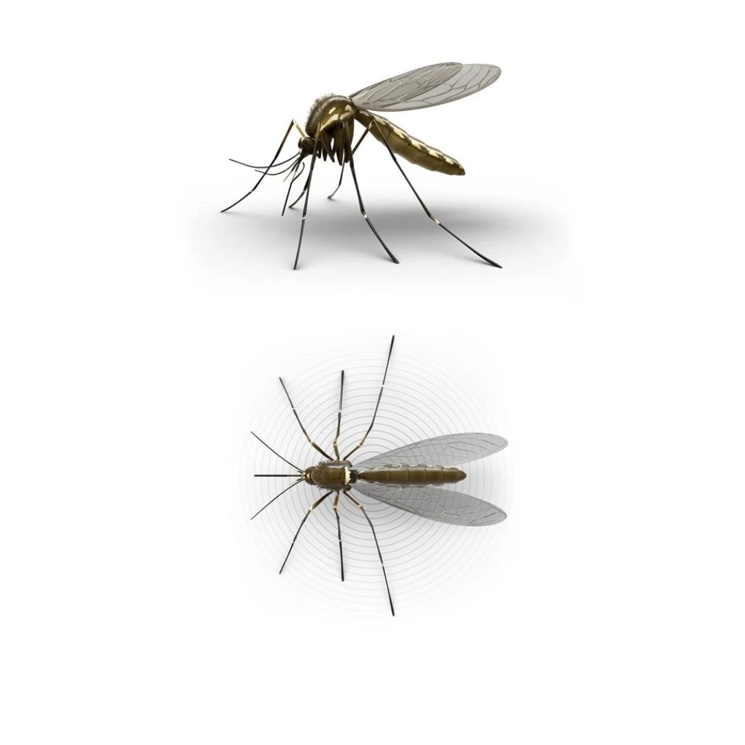 Raid Sprej Protiv Muva, Komaraca i Drugih Letećih Insekata 300 mL