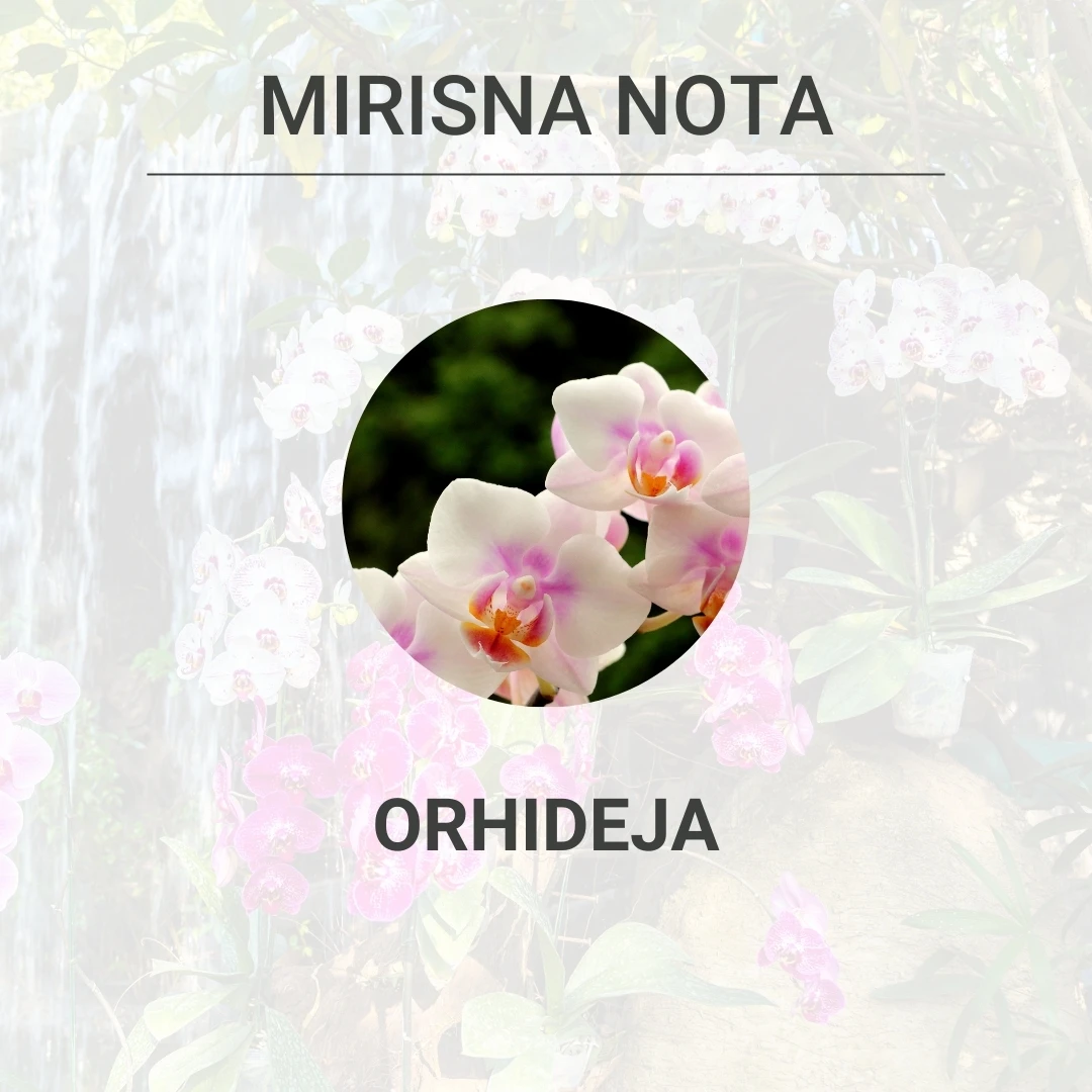 Tesori Di Oriente Ženski Parfem Orhideja 100 mL