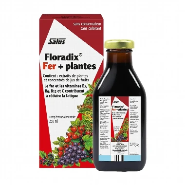 Floradix® Sirup sa Organskim Gvožđem 250 mL